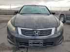 2009 HONDA ACCORD