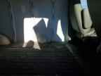 2012 CHEVROLET Express 1500
