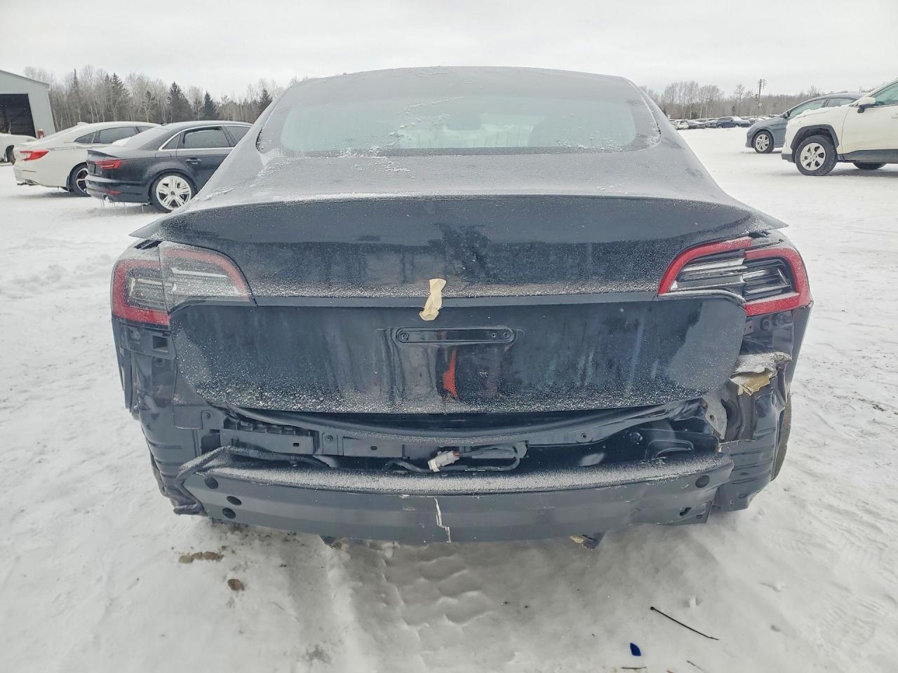 2019 TESLA MODEL 3