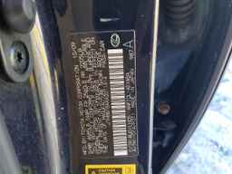 2010 LEXUS HS 250h