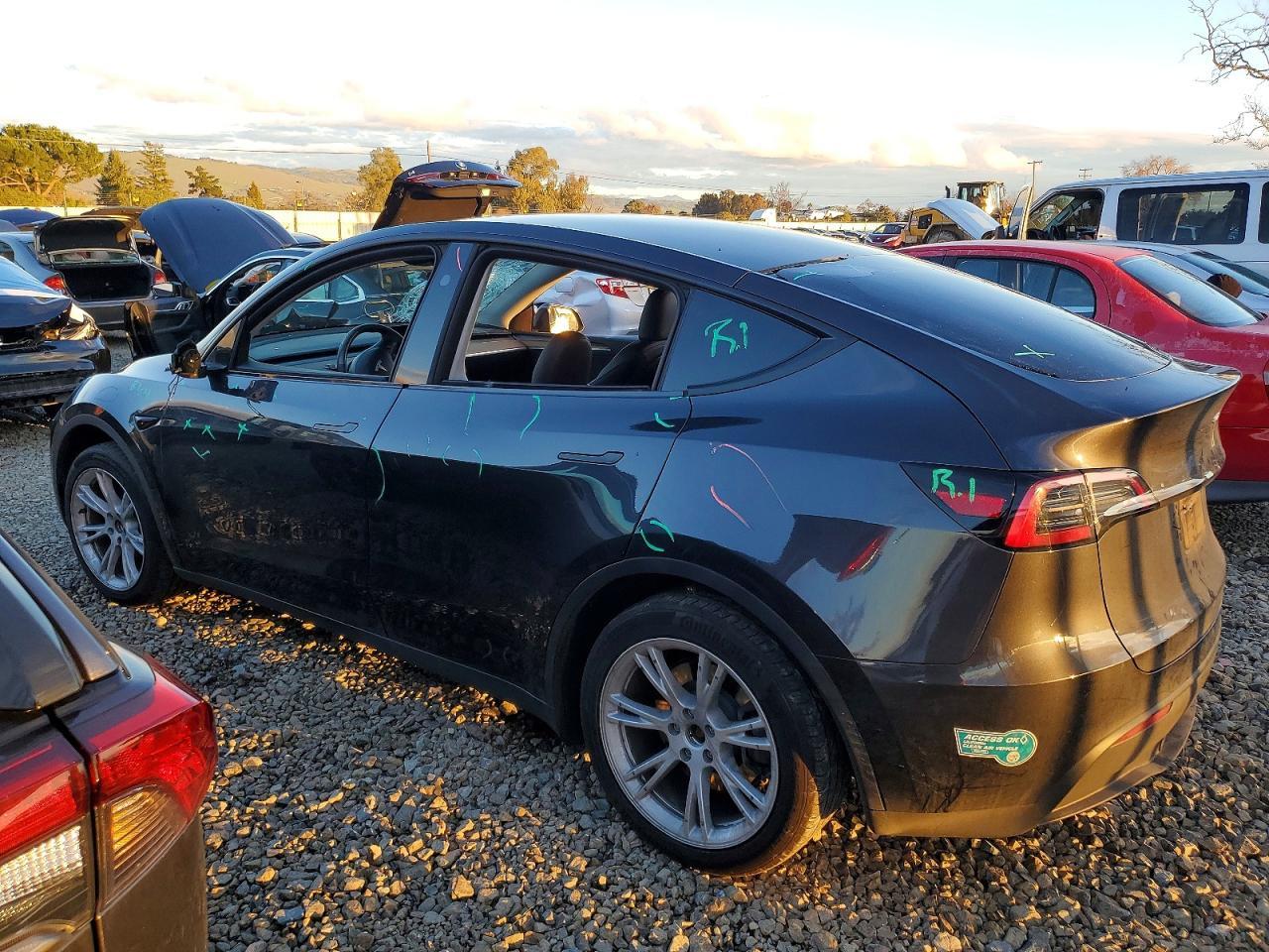 2024 TESLA MODEL Y