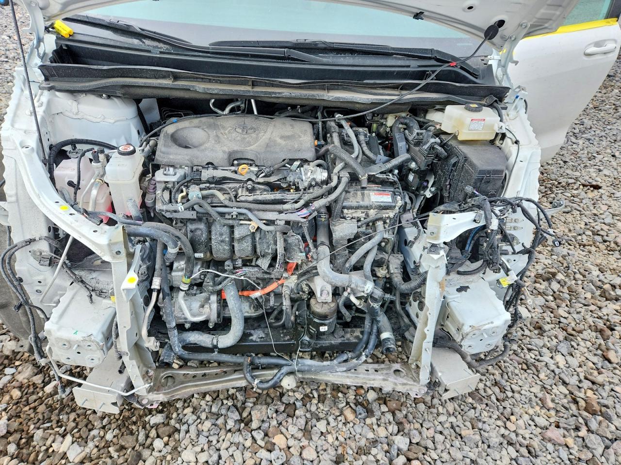 2024 TOYOTA SIENNA