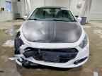 2013 DODGE Dart