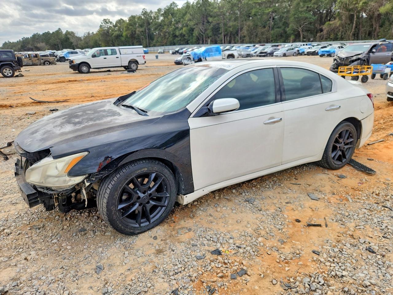 2010 NISSAN Maxima