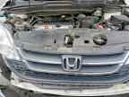 2010 HONDA CR-V