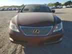 2007 LEXUS LS 460