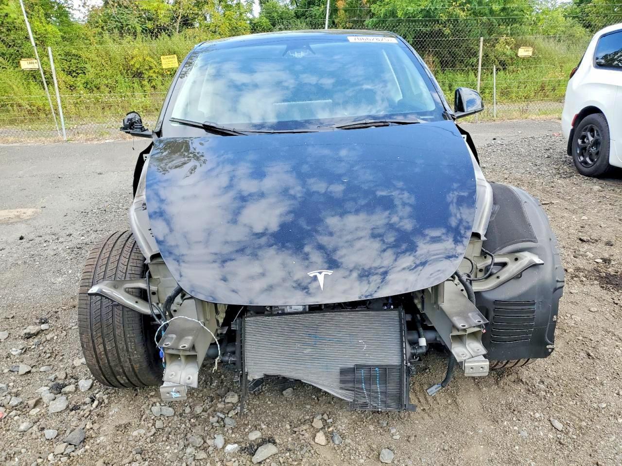 2025 TESLA MODEL Y