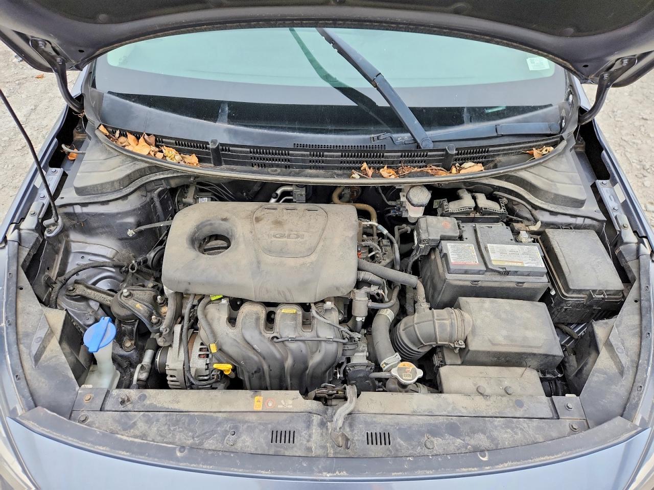 2019 KIA RIO