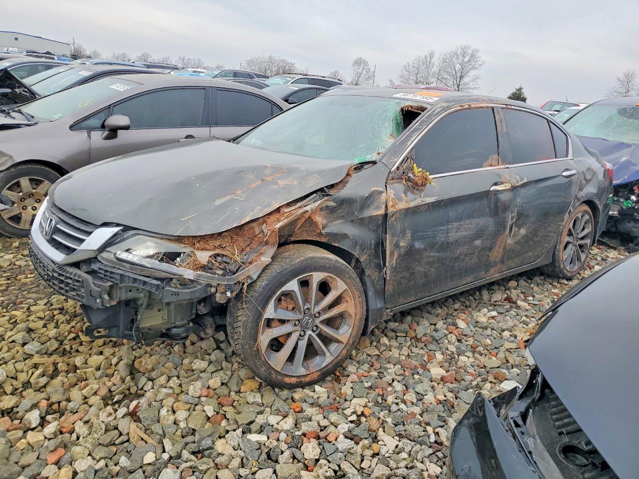 2014 HONDA ACCORD