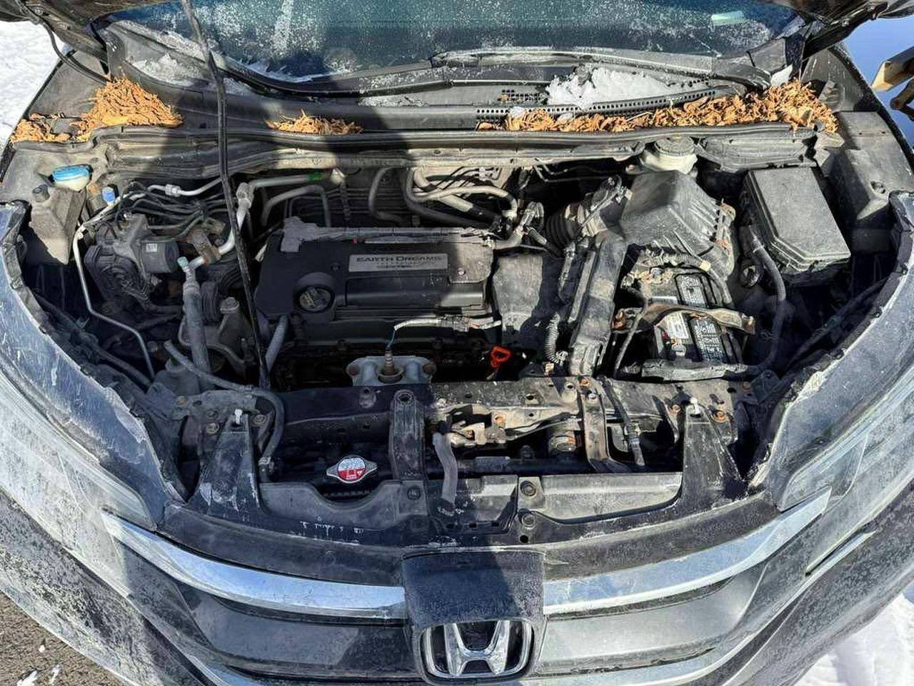2015 HONDA CR-V
