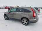 2010 HONDA CR-V