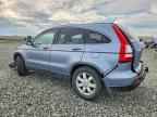 2007 HONDA CR-V