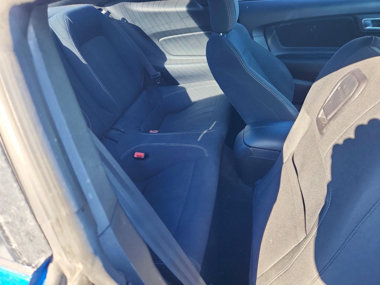 2019 FORD MUSTANG
