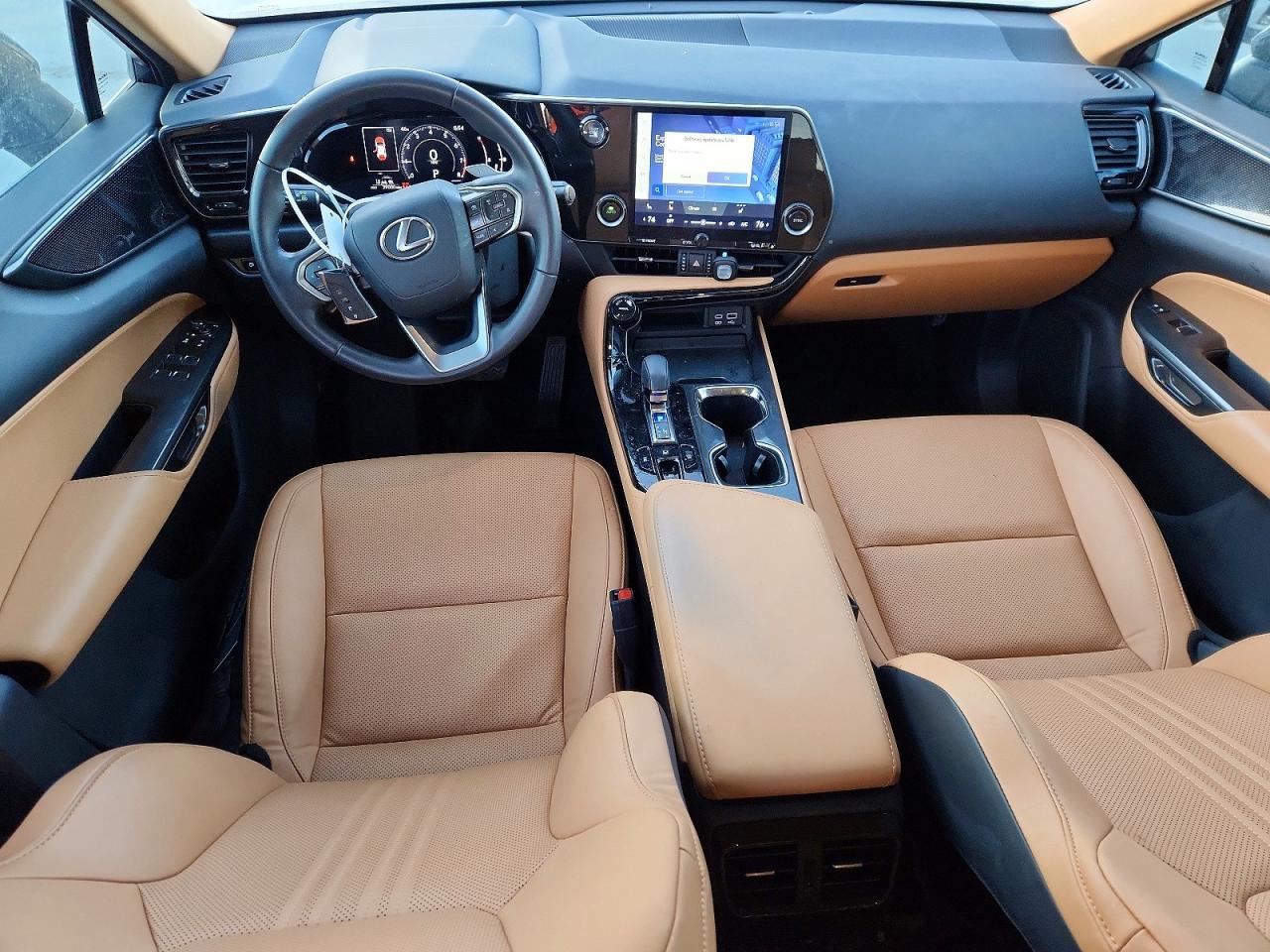 2024 LEXUS NX 250