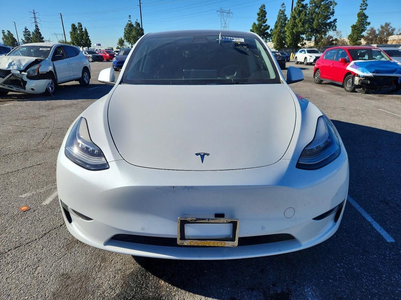 2021 TESLA MODEL Y