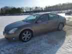 2004 NISSAN Maxima