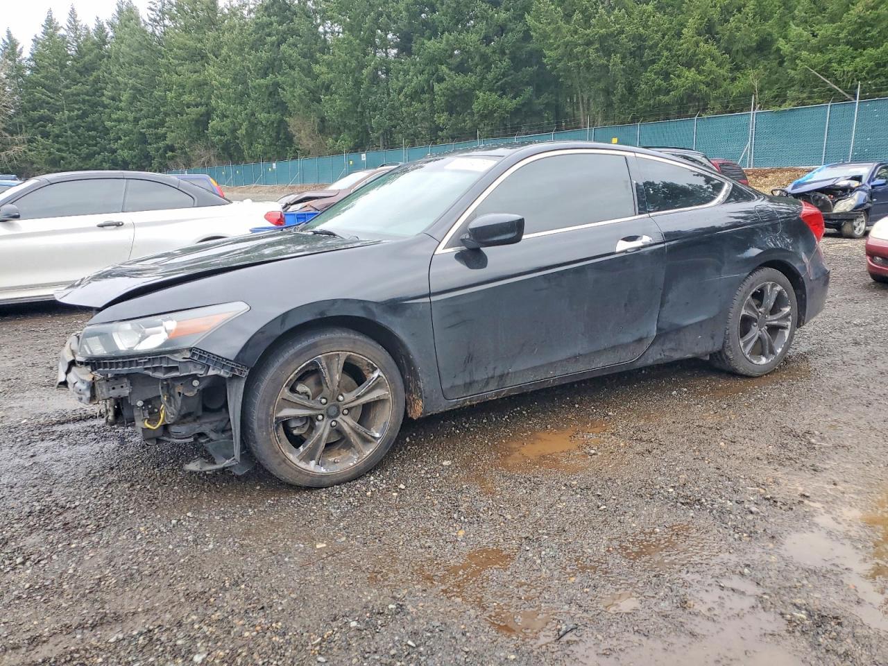 2011 HONDA ACCORD