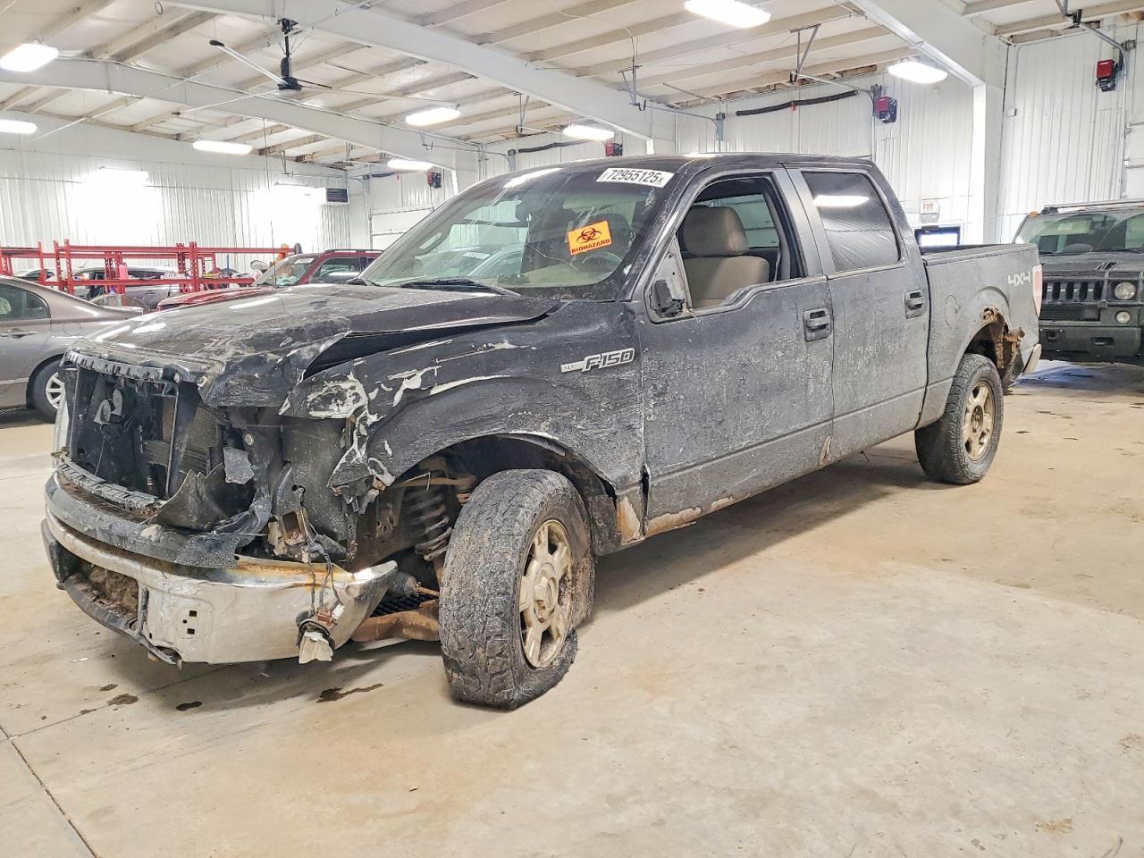 2010 FORD F-150