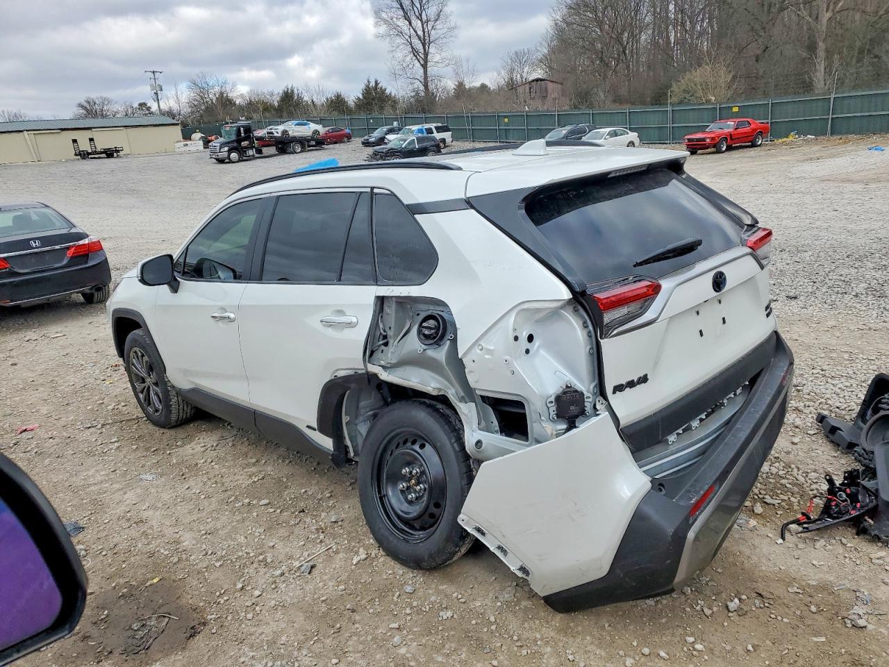 2024 TOYOTA RAV4