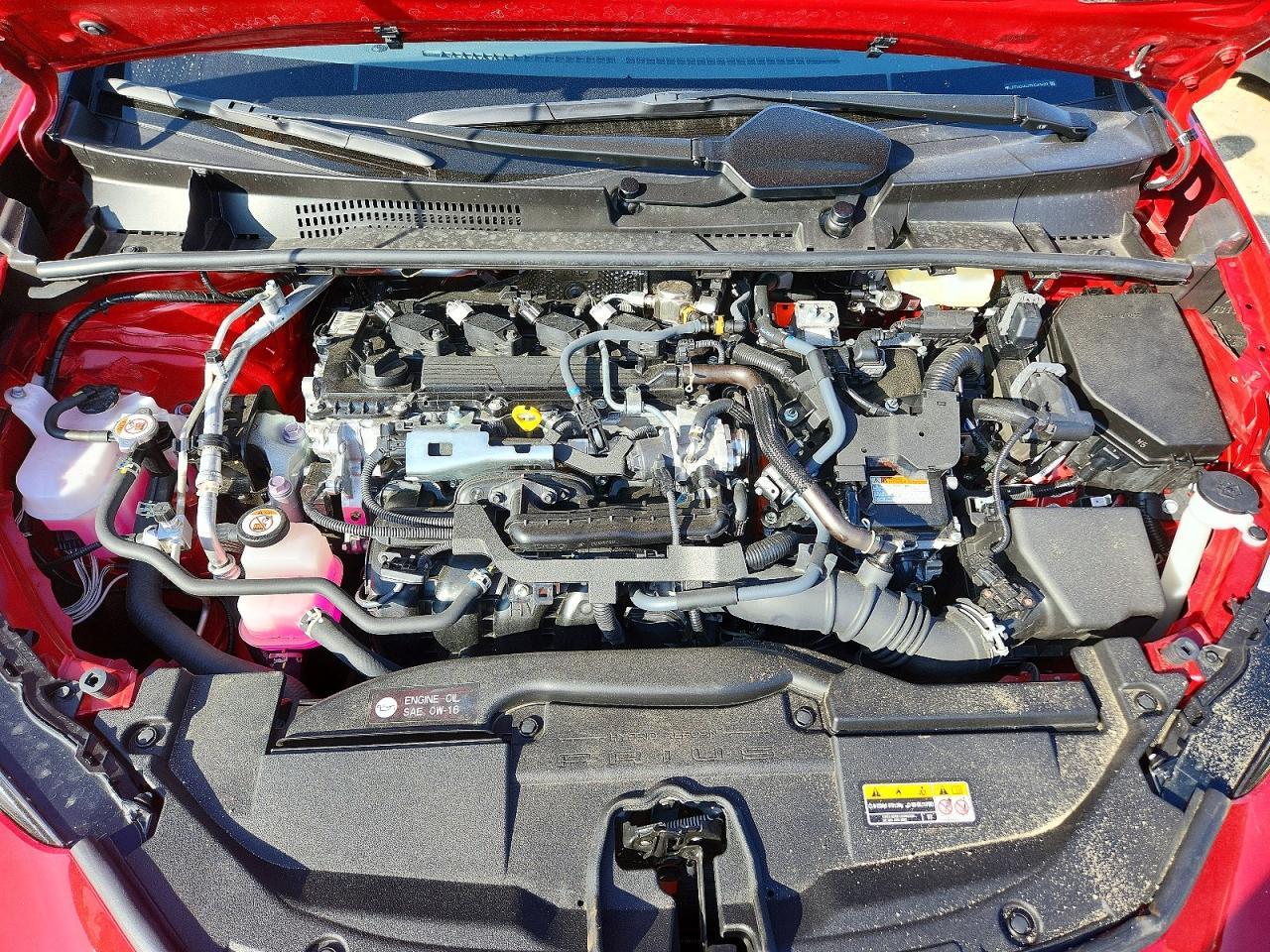 2024 TOYOTA PRIUS