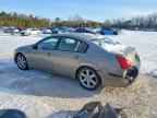 2004 NISSAN Maxima
