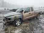 2010 DODGE Dakota