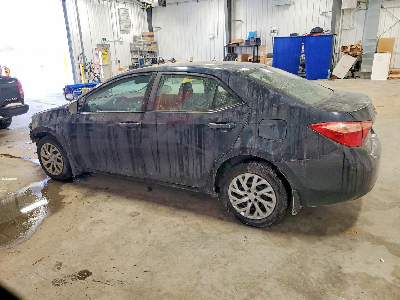 2019 TOYOTA COROLLA