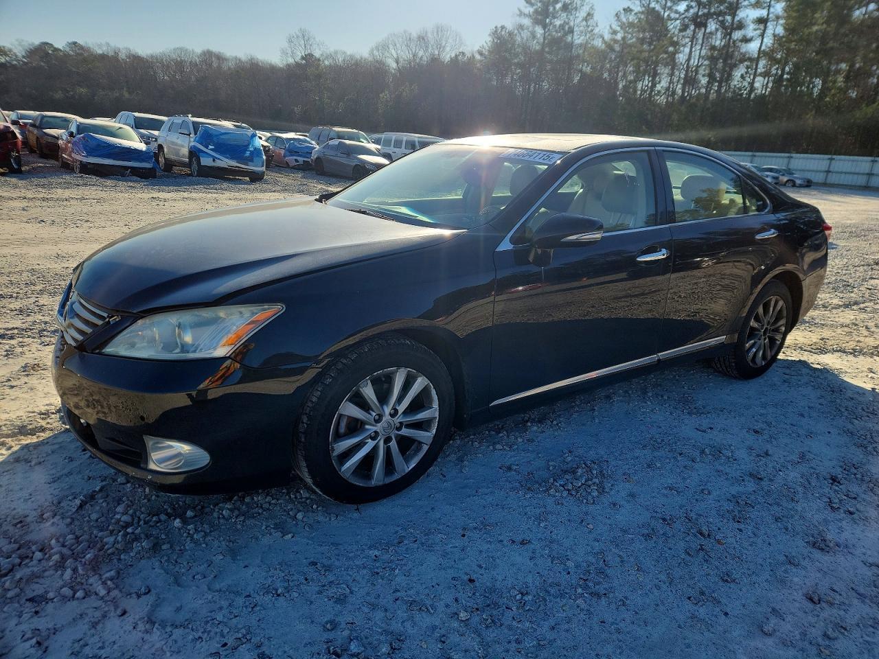 2010 LEXUS ES 350