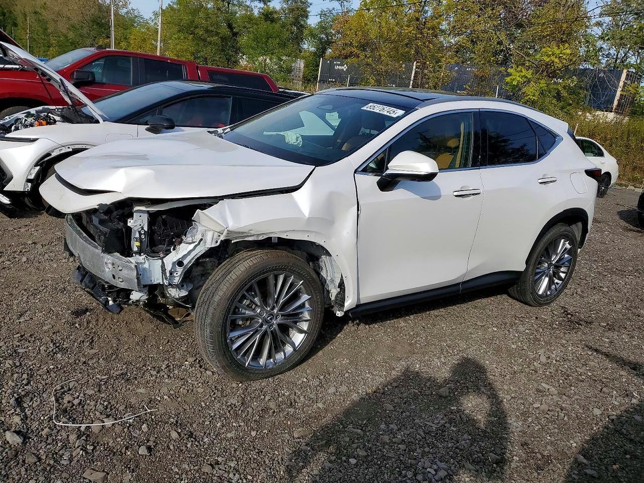 2025 LEXUS NX 350H
