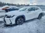 2021 LEXUS UX 250H