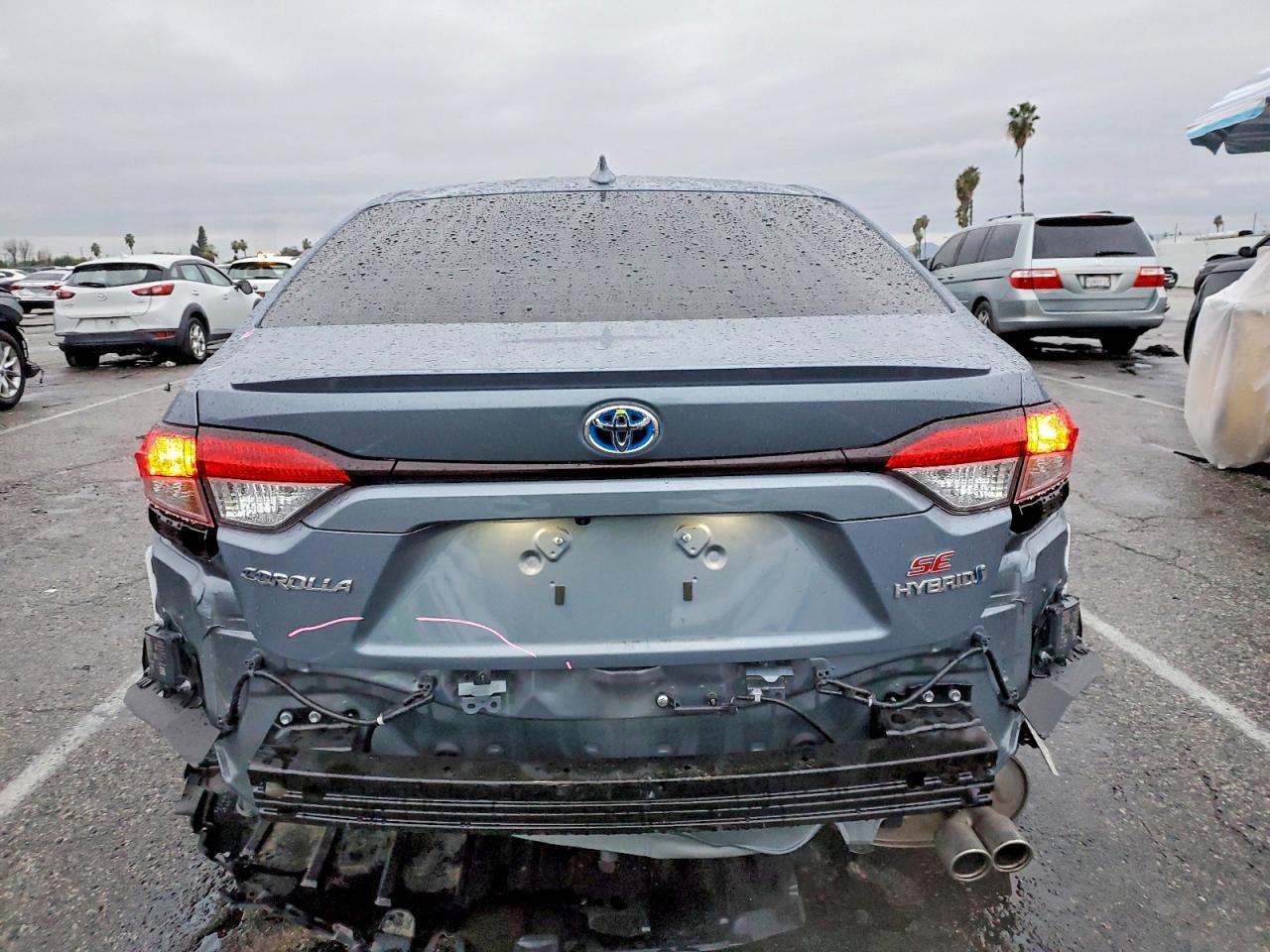 2024 TOYOTA COROLLA
