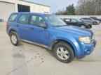 2009 FORD ESCAPE
