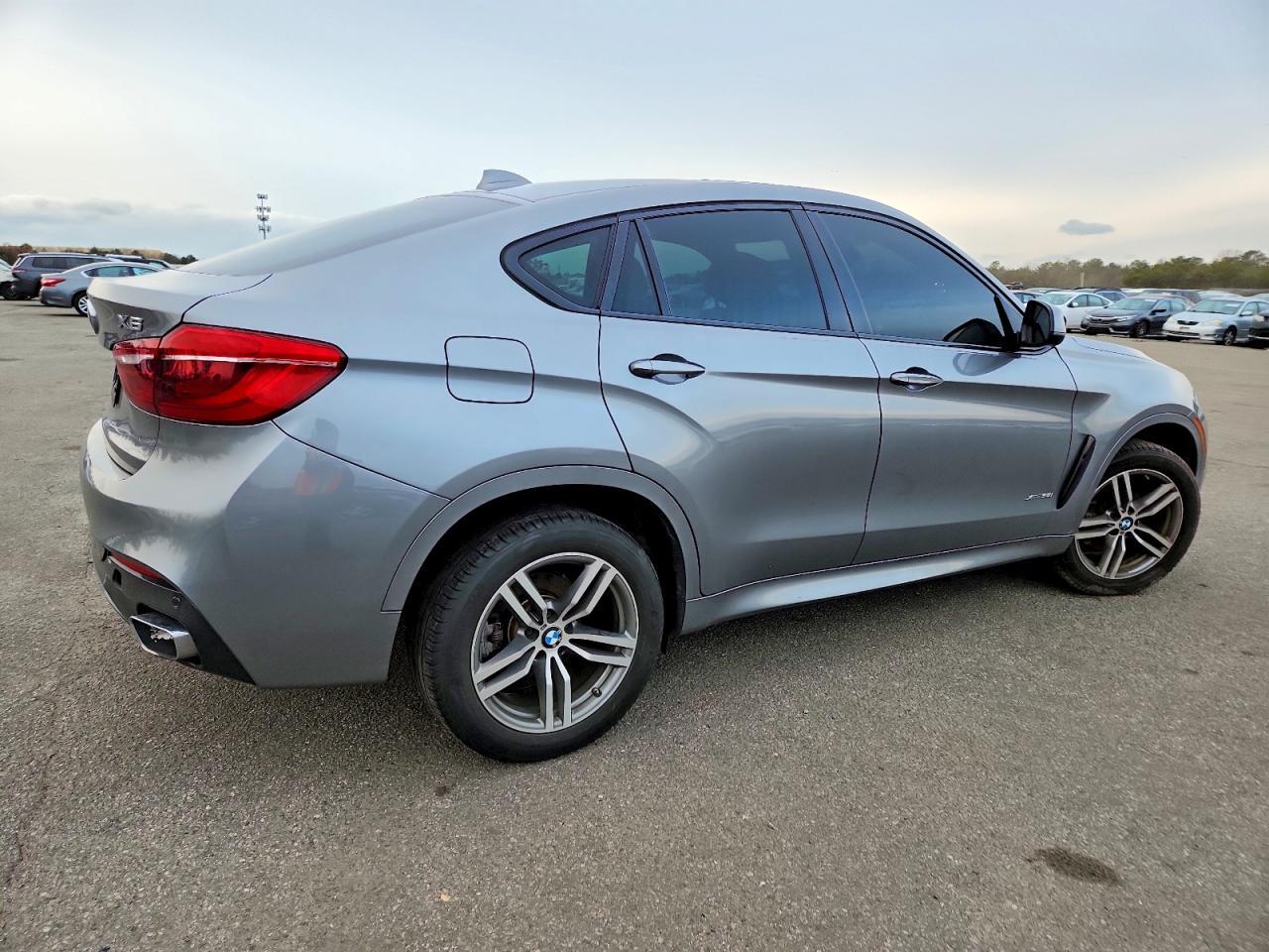 2019 BMW X6