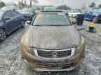 2009 HONDA ACCORD