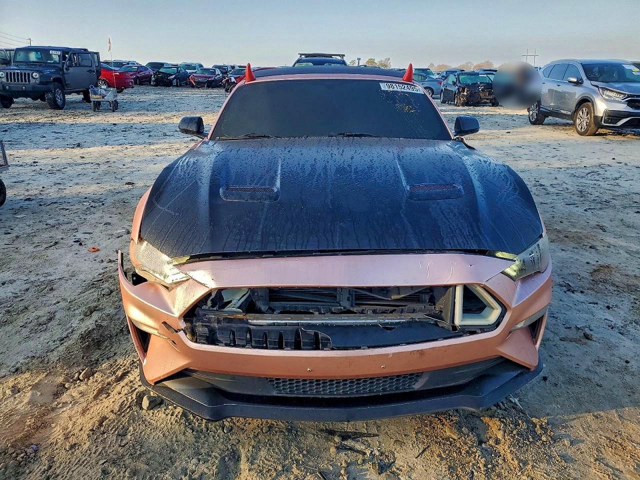 2019 FORD MUSTANG