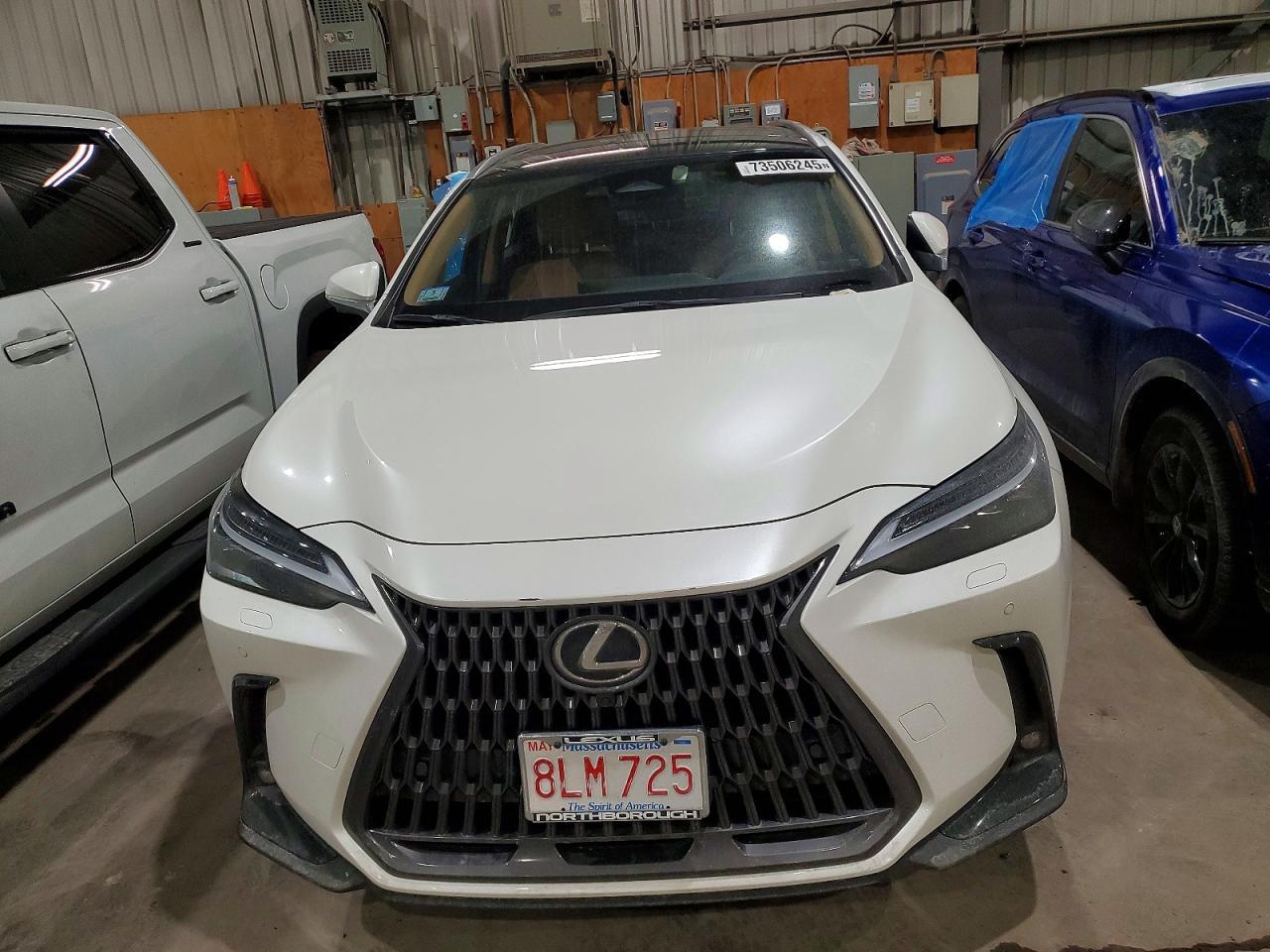 2025 LEXUS Nx