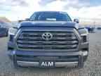 2023 TOYOTA Sequoia