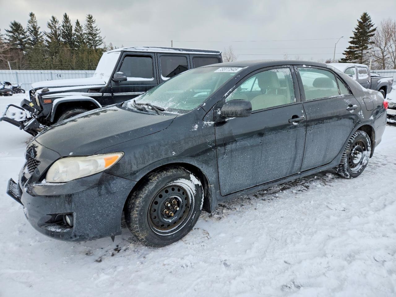 2010 TOYOTA COROLLA