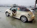2008 VOLKSWAGEN Beetle