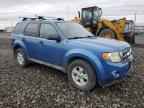 2009 FORD ESCAPE