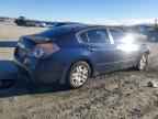 2010 NISSAN ALTIMA