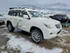 2011 LEXUS LX 570