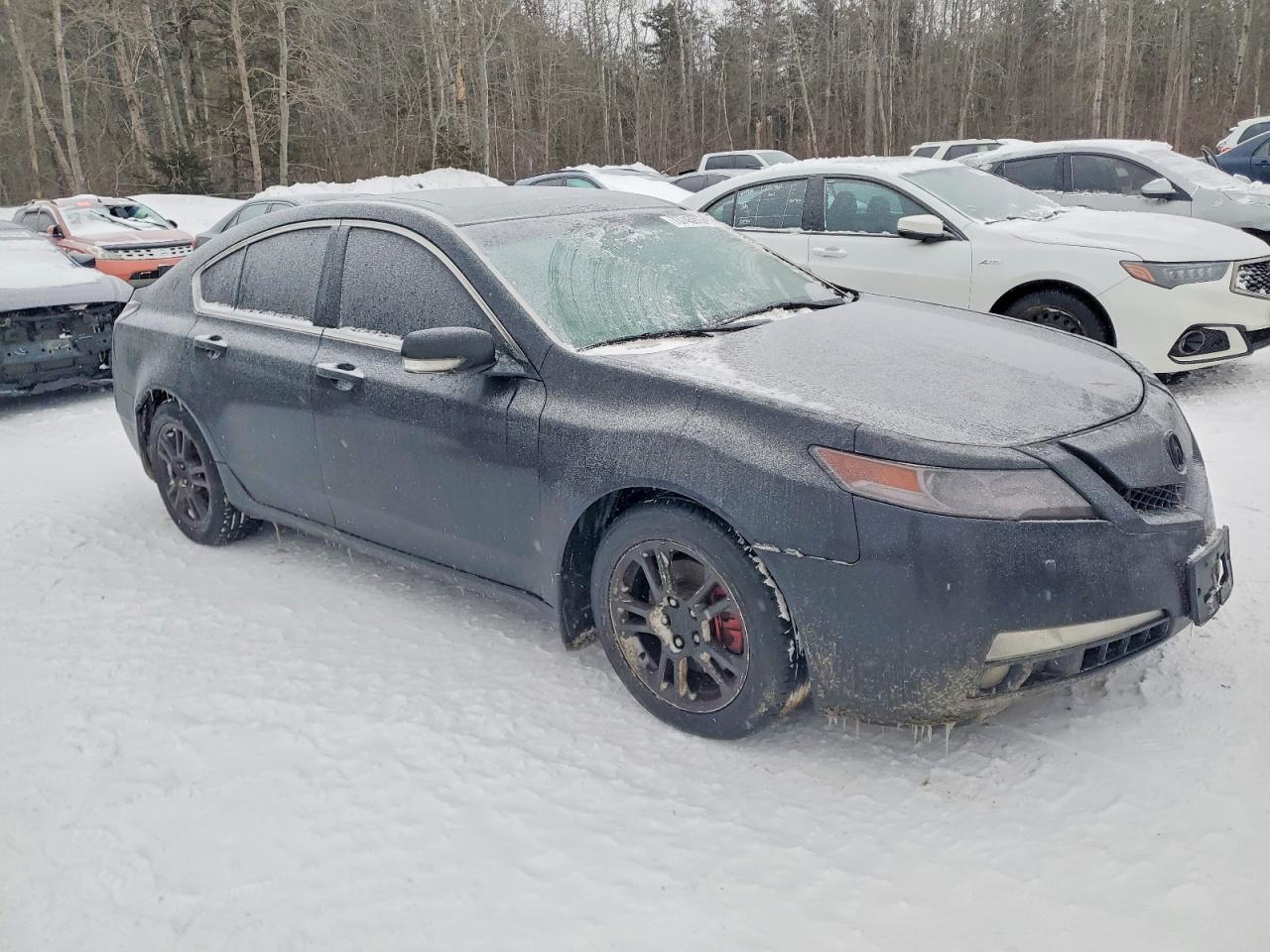 2010 ACURA TL