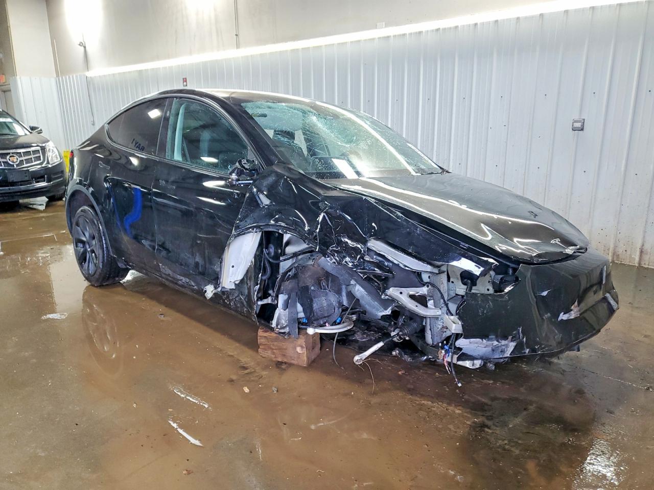2025 TESLA MODEL Y