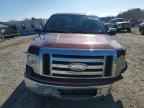 2009 FORD F-150