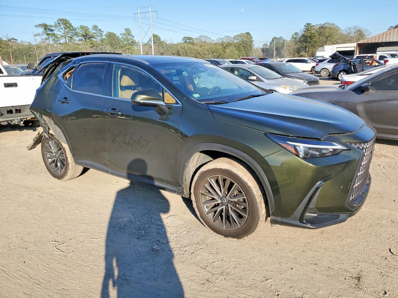 2024 LEXUS NX 250