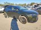 2024 LEXUS NX 250