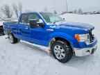 2009 FORD F-150