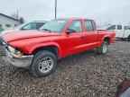 2004 DODGE Dakota