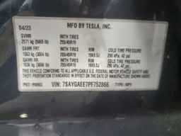 2023 TESLA MODEL Y